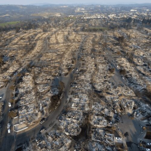 Aerial view of a devastated suburban area with rows of burnt-down houses and trees, showcasing widespread destruction.