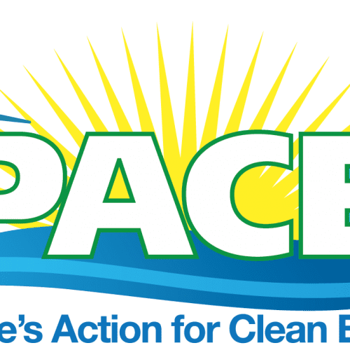 Logo of people's action for clean energy (pace) featuring a stylized sun, wind turbine, and wave, overlaid with the acronym 