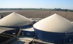 Two large blue anaerobic digester tanks with white conical roofs at a bioenergy facility, surrounded by agricultural fields.