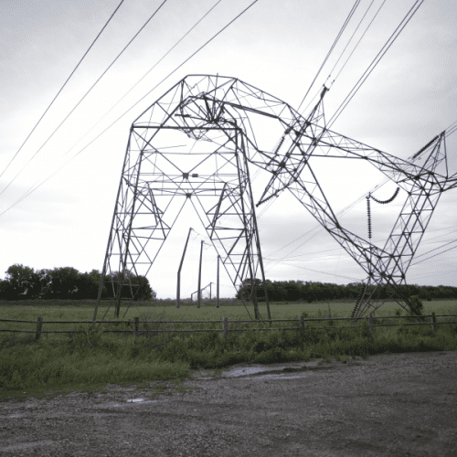 High-voltage power lines shaped like an elephant, standing in a green field under an overcast sky.