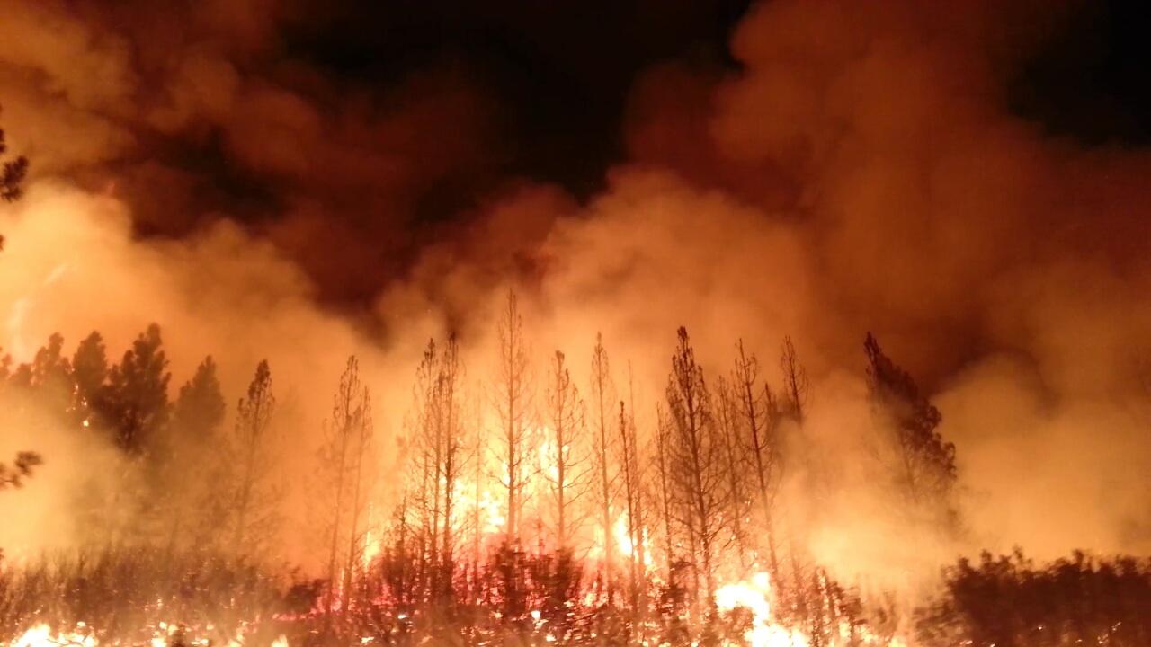 A forest fire is burning in the night sky.