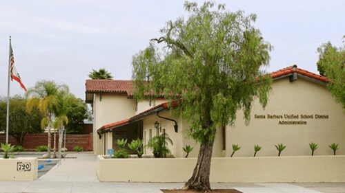 A tree in front of a building with a palm tree.