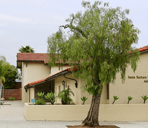 A tree in front of a building with a palm tree.
