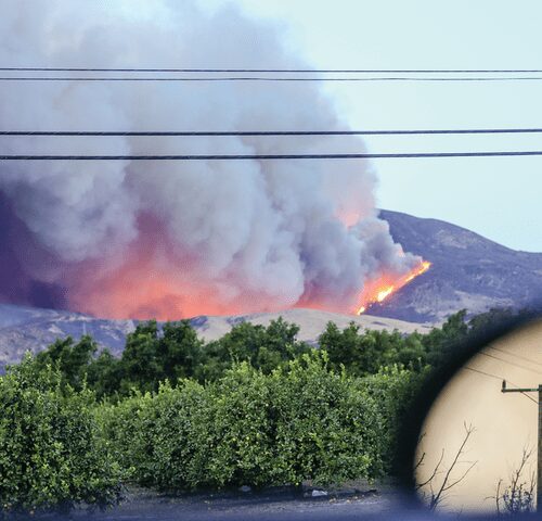 A fire burning in the distance near some bushes.