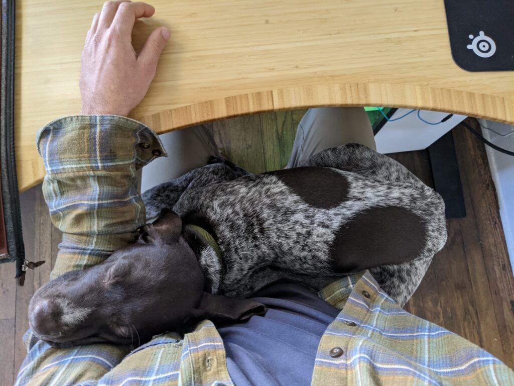 A person laying on the ground with a dog