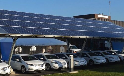 A row of electric cars parked under a solar panel.