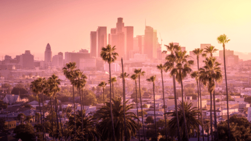 A view of the city skyline from across the street.