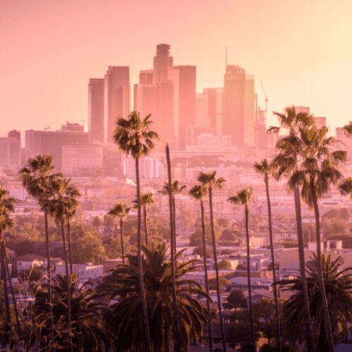 A view of the city skyline from across the street.