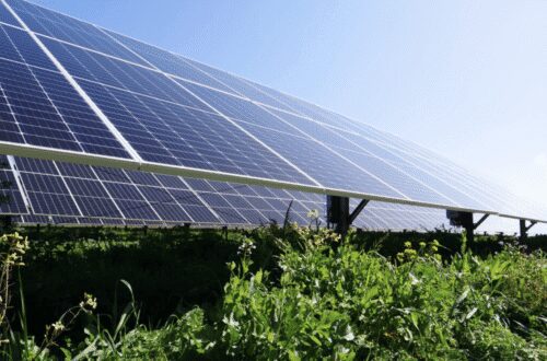 Close-up ground-mounted panels above greenery