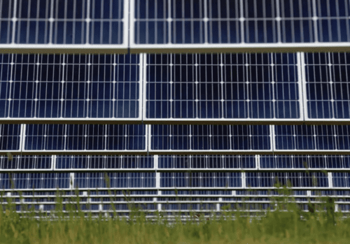 Rows of solar panels with grass foreground.